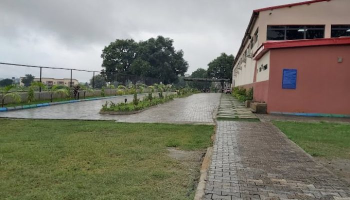 Play World Side View