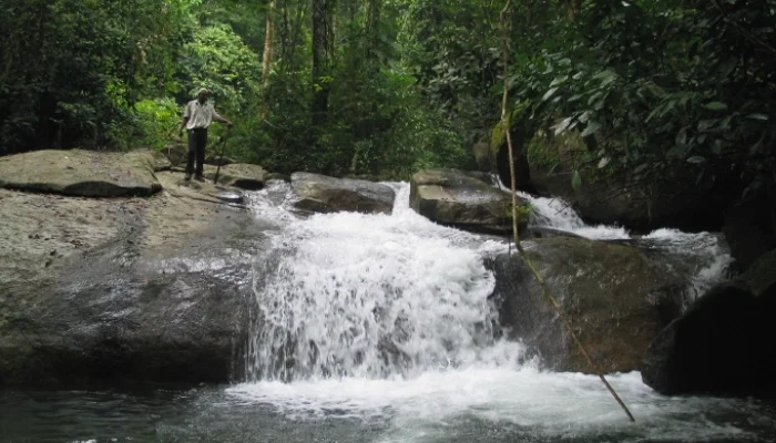 calabar monkey ranch waterfall