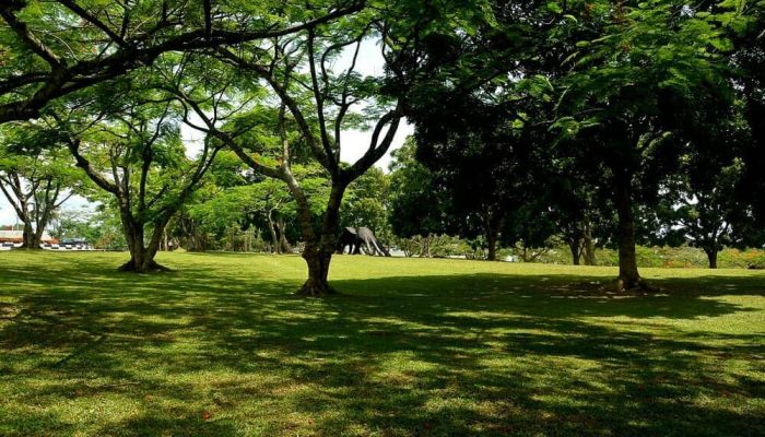 fingers park cross river