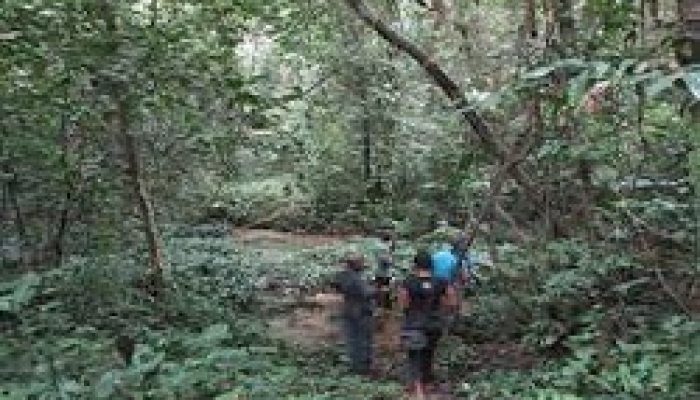 hikers at cross river national park