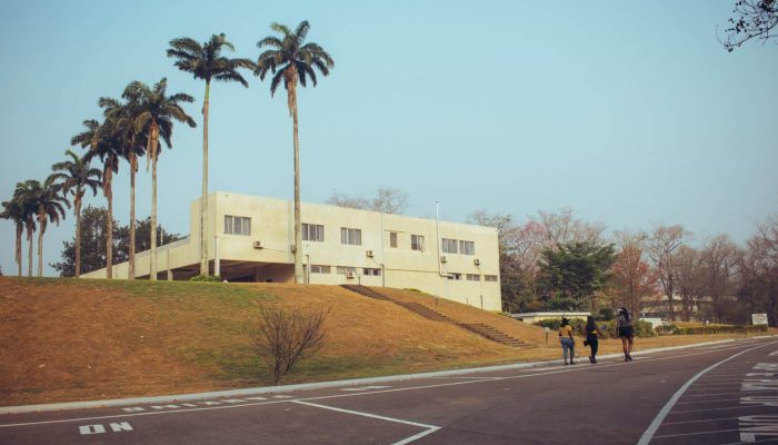 iita view