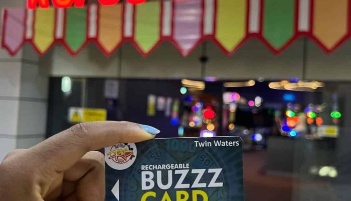 rufus and bee buzz card