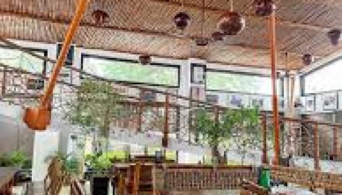 terra kulture restaurant