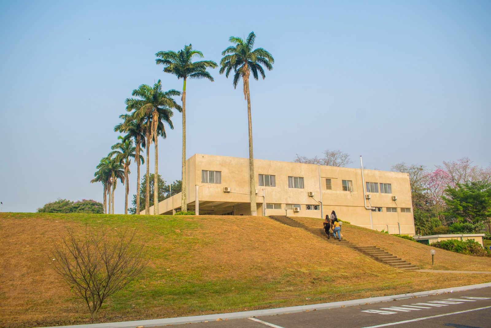 iita compound