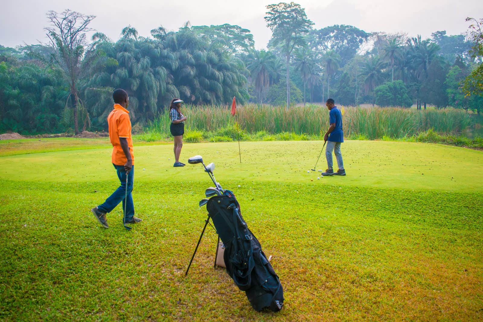 iita golf course 2