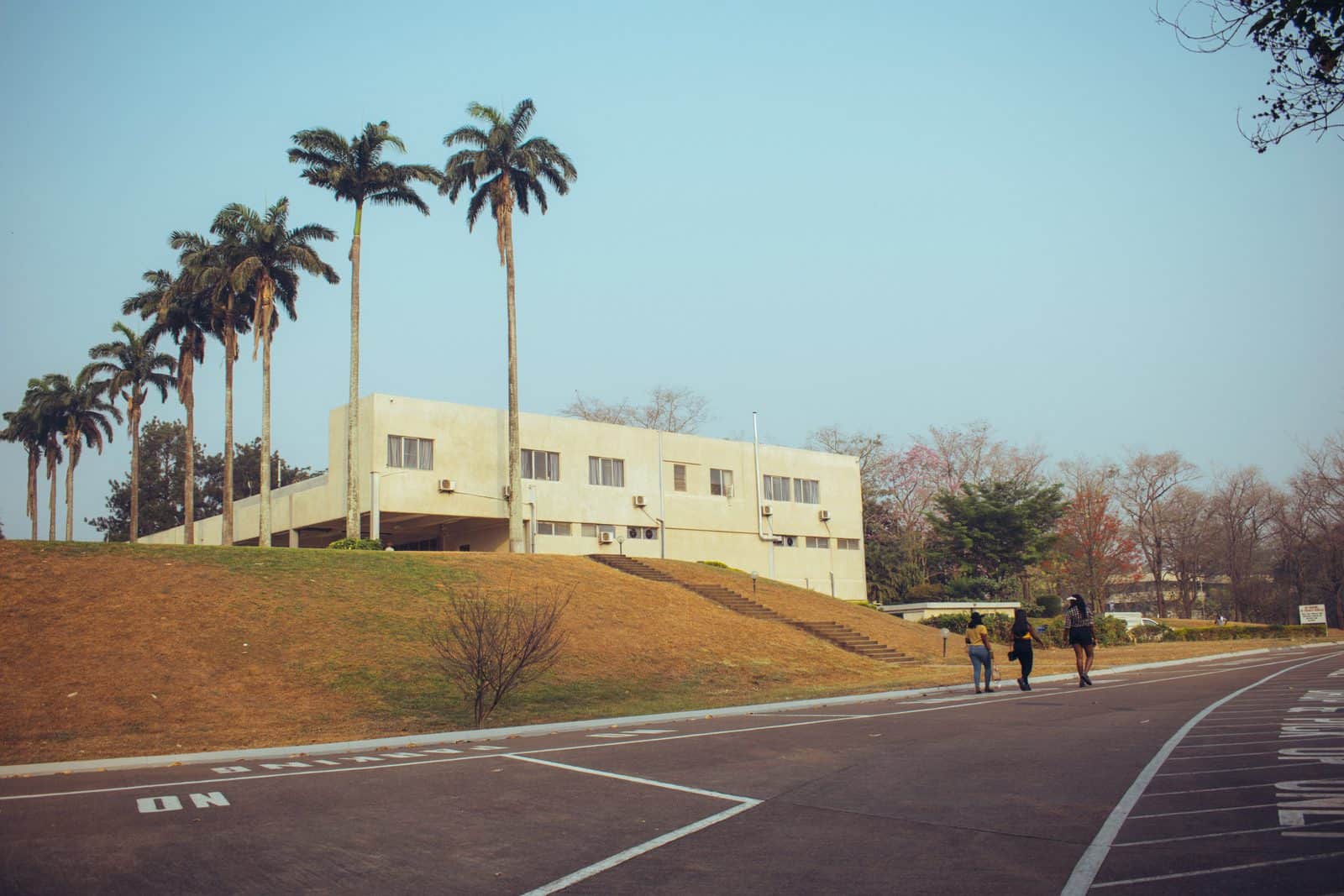 iita view